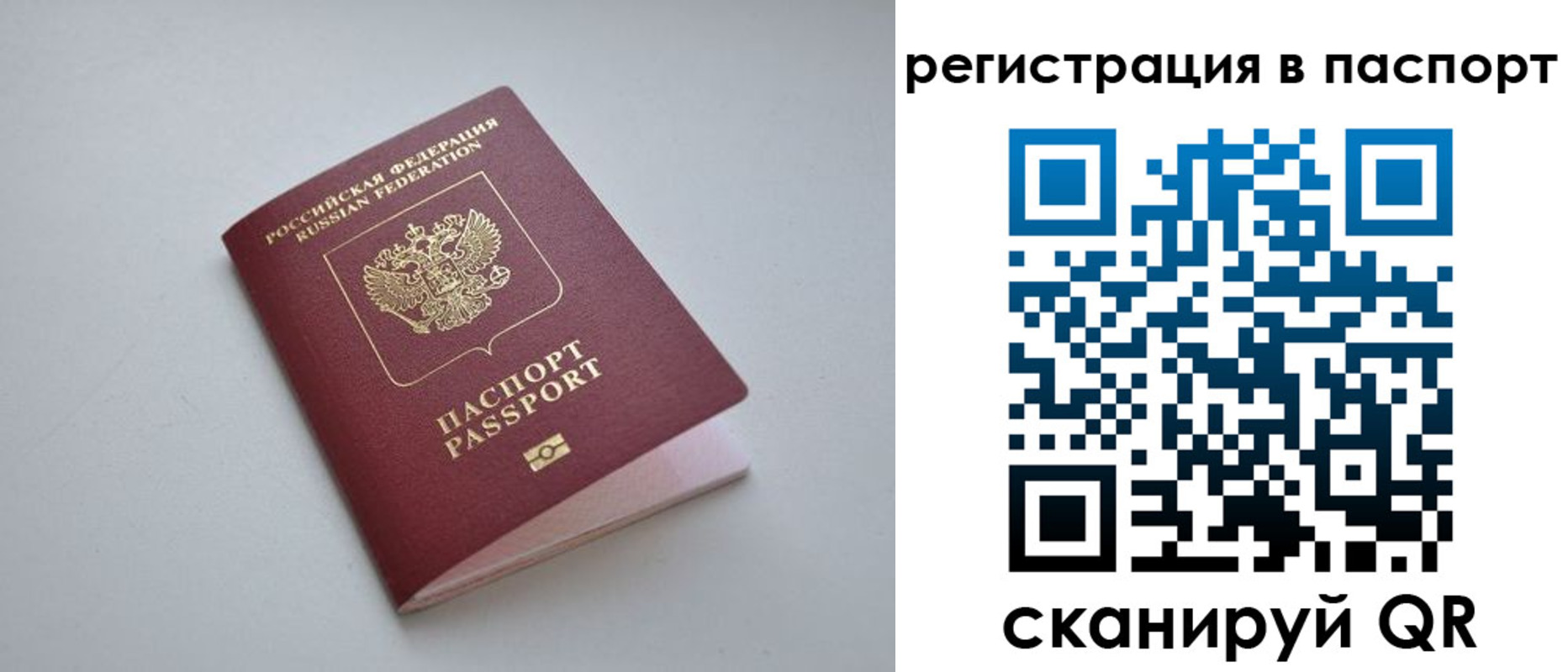 найти адрес прописки в Петропавловске-Камчатском
